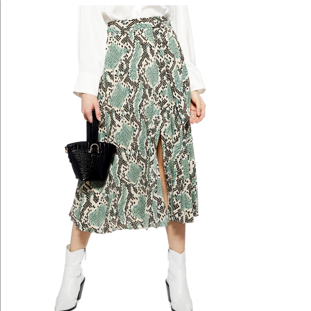Python Print Pleated Skirt